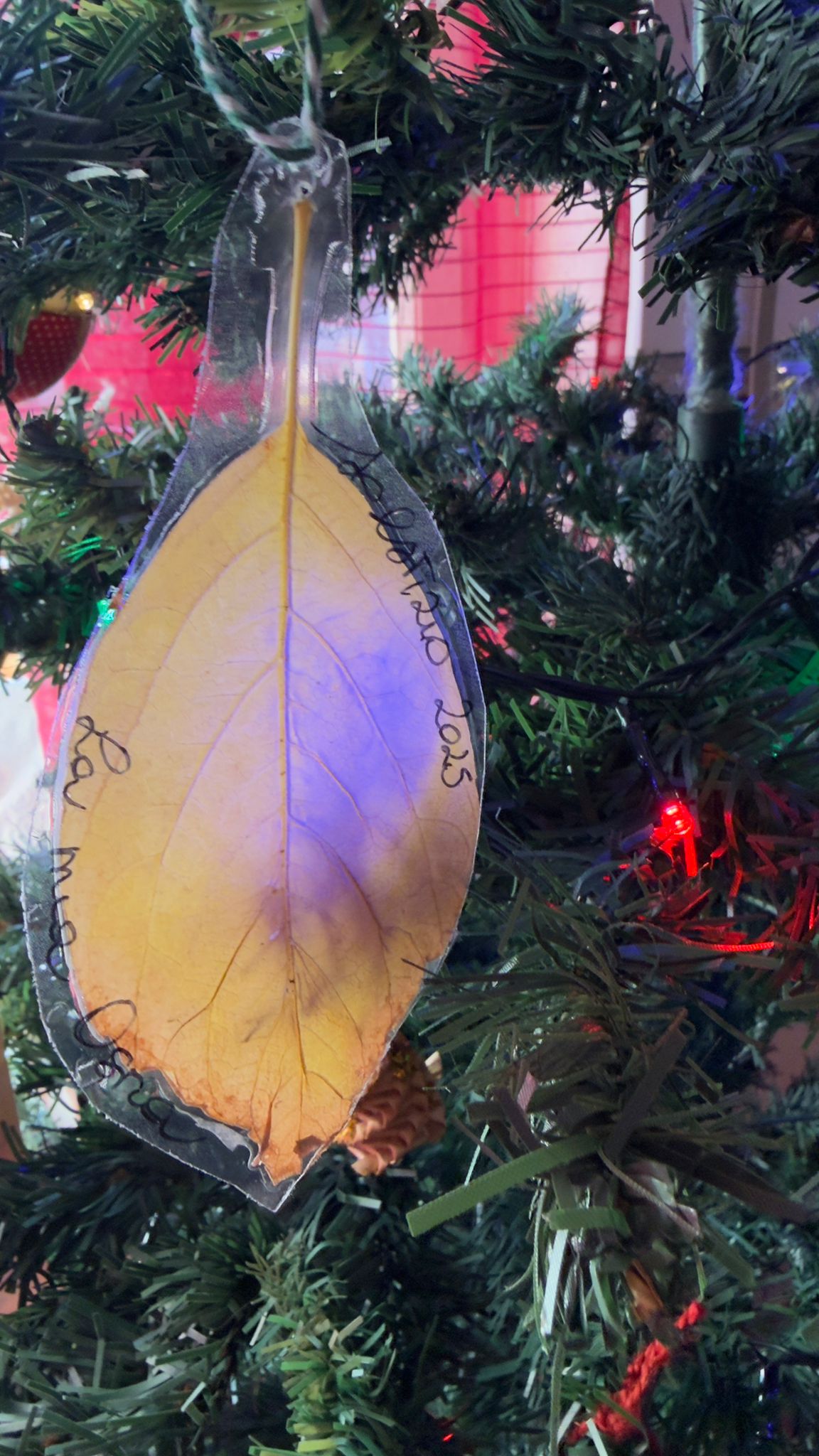 Al Pontile di Ostia, l�alba del solstizio d�inverno torna a unire la citt� e il mare